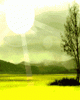 anim176220mobildesign.atw.hu_0057.gif